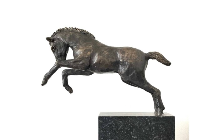 DARTELTJE - SPELEND PAARDJE