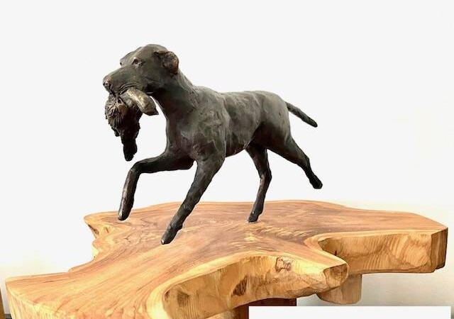 JACHTHOND MET FAZANT