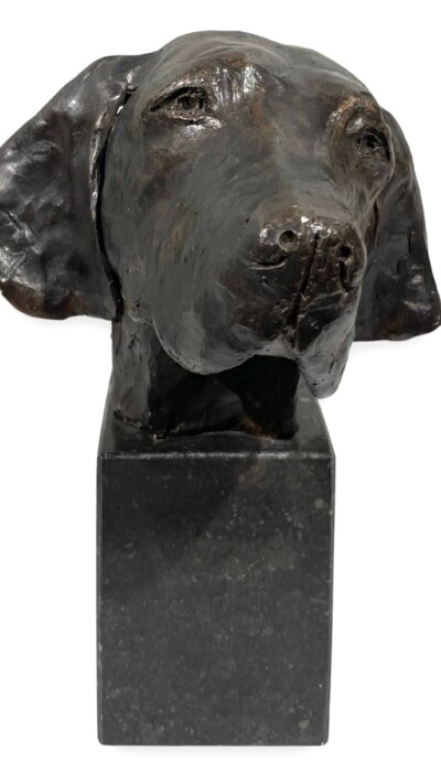 JACHTHOND - 'KOEKJE'