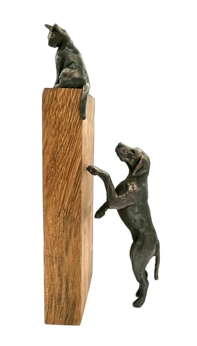 CATCH ME IF YOU CAN - HOND EN KAT