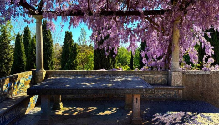LOGGIA